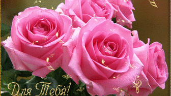 Галина Андреева - Google+