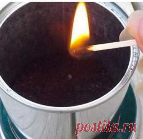 Простой трюк избавит от комаров в доме! Дешево и экологично!