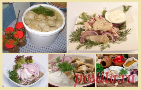 8 ВКУСНЫХ РЕЦЕПТОВ ЗАСОЛКИ ГРУЗДЕЙ!  


 
1. Грузди, соленые на зиму. простой рецепт без добавления специй.
 
Для того чтобы приготовить грузди по этому старому и простому рецепту, нужно взять:
Соль крупная - 250 грамм;
Грузди - 5 килог…