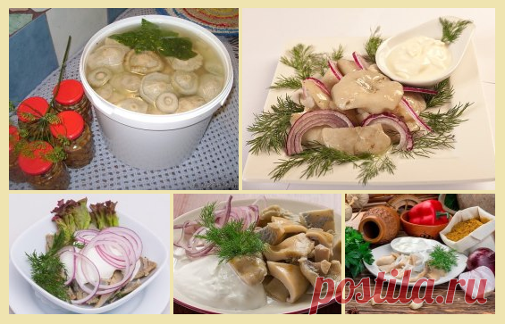 8 ВКУСНЫХ РЕЦЕПТОВ ЗАСОЛКИ ГРУЗДЕЙ!  


 
1. Грузди, соленые на зиму. простой рецепт без добавления специй.
 
Для того чтобы приготовить грузди по этому старому и простому рецепту, нужно взять:
Соль крупная - 250 грамм;
Грузди - 5 килог…