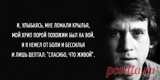 15 цепляющих цитат Владимира Высоцкого