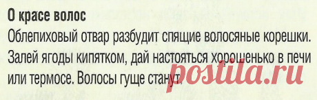 Облепиховый отвар для волос