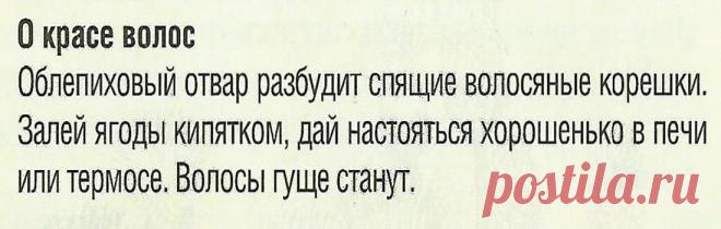 Облепиховый отвар для волос