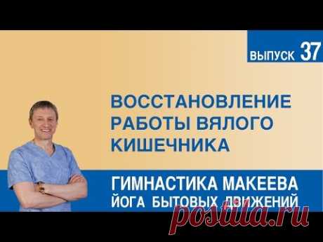 Восстановление работы вялого кишечника - YouTube