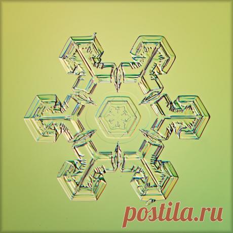 Не сразу поняла, как это снято: невероятной красоты снежинки (настоящие, сделано матушкой-природой и фотографом из Вологды) | Северяночка | Яндекс Дзен