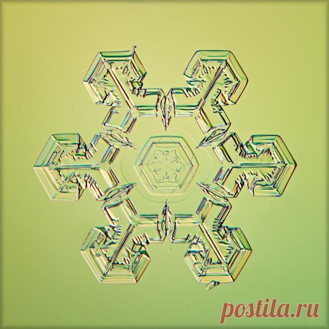 Не сразу поняла, как это снято: невероятной красоты снежинки (настоящие, сделано матушкой-природой и фотографом из Вологды) | Северяночка | Яндекс Дзен