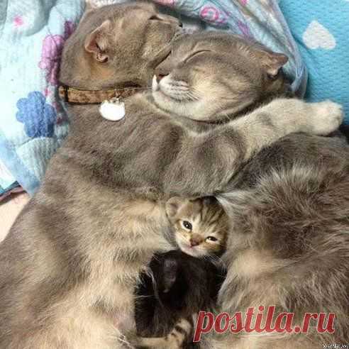 Одноклассники