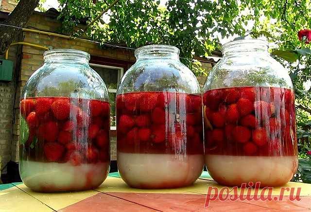 4 стакана сахара, 4 стакана воды, 4 стакана ягод, 4 стакана водки!
Ягодная наливка - просто, вкусно и главное своими руками!