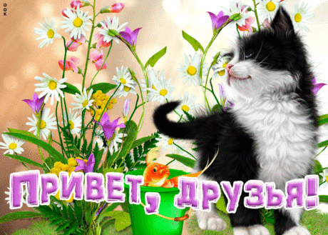 Открытка моему другу