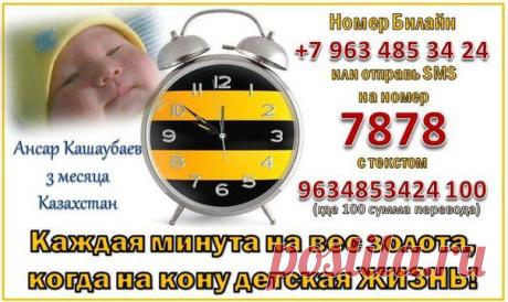 РИСУЕМ ЖИЗНЬ!Ансар Кашаубаев. СРОЧНЫЙ СБОР!