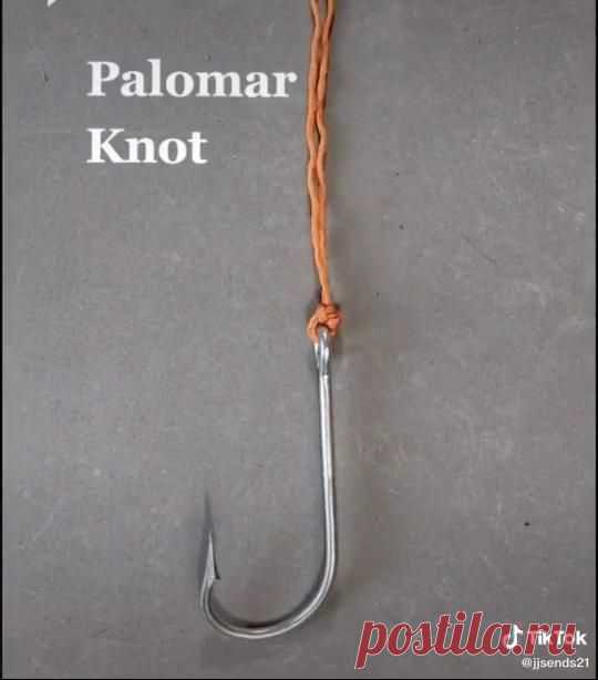 palomar knot🌙⭐️💫