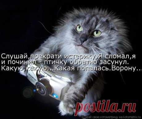 НАЧИНАЮЩИЙ ФОТОГРАФ
