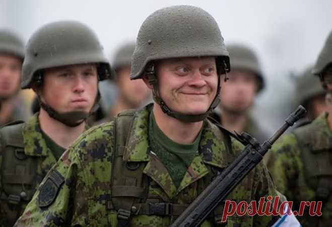 Самые абсурдные в истории поводы для начала военных действий