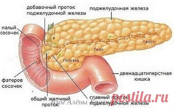 Какое должно быть питание при заболеваниях поджелудочной железы?