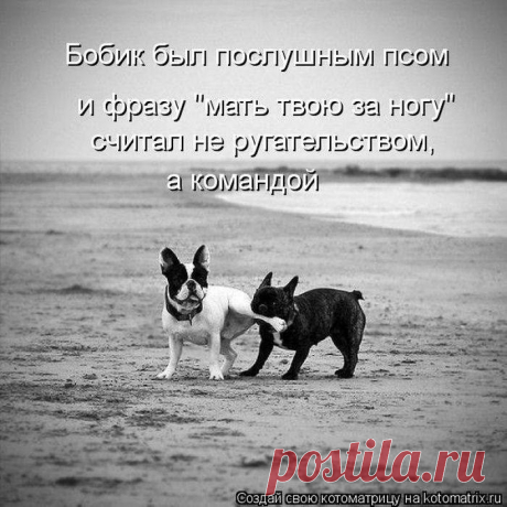 Немного смеха не повредит!