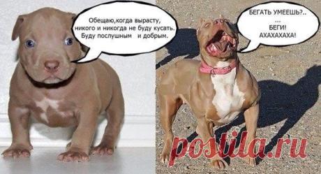 RE2zDn8y_pQ.jpg (604×327)