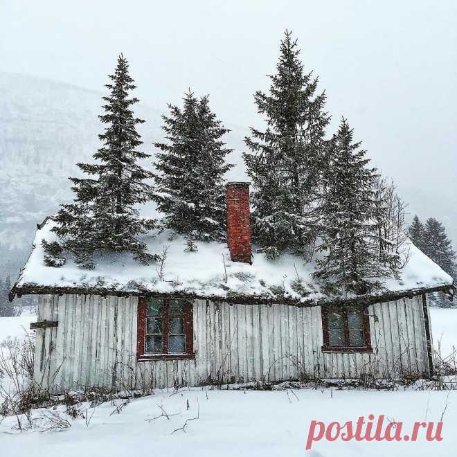 Claritza Yvonne Sanchez в Instagram: «Repost from @betterhomesandgardens using @RepostRegramApp - This is the first time we’ve ever seen anything like this before! 😱🌲 We think…» 357 отметок «Нравится», 0 комментариев — Claritza Yvonne Sanchez (@claritzayvonne) в Instagram: «Repost from @betterhomesandgardens using @RepostRegramApp - This is the first time we’ve ever seen…»