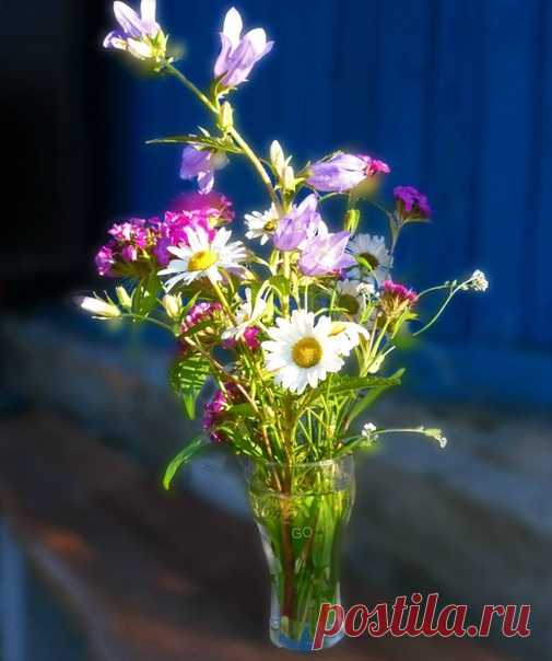 КАКОЙ СЕГОДНЯ ПРАЗДНИК? 8 Июня 2019 г. – Суббота • День пива и пивовара16 лет • День рождения пылесоса150 лет • День мебельщика • Всемирный день океанов (World Ocean Day)10 лет • Международный день домохозяйки и домохозяина • День социального работника19 лет • День таинственных знаков и предсказаний • Всемирный день петербургских кошек и котов14 лет • День Республики Карелия99 лет • Всемирный день борьбы с опухолями головного мозга (World Brain Tumor Day) • Всемирный день вязания на публике…