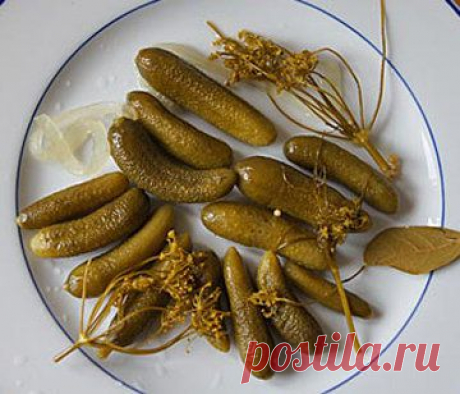 Рецепты заготовок. Вкусные маринованные огурцы | Ваши любимые рецепты