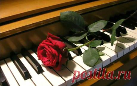 Музыкант с помойки | Икигай | Дзен