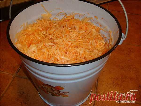 Моя квашенная капуста » Рецепты с фото и вкусные блюда, салаты, горячие и холодные блюда, вкусный завтрак, обед и ужин.