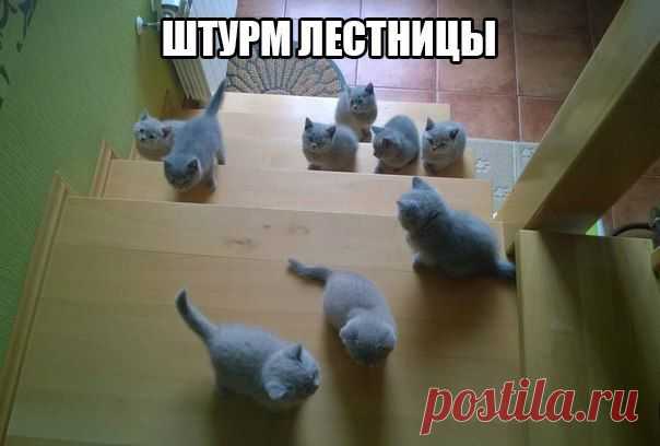 Новости