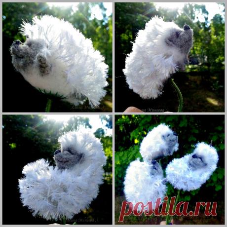 Ёжуванчики