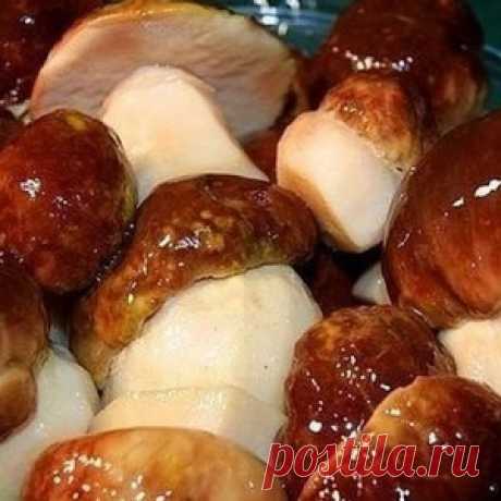 Засолка грибов — холодный способ - МирТесен