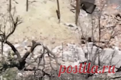 Минобороны показало видео поражения огневой точки ВСУ с помощью наземного робота