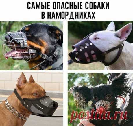 Татьяна Кармишина - Иваново, Ивановская обл., Россия на Мой Мир@Mail.ru