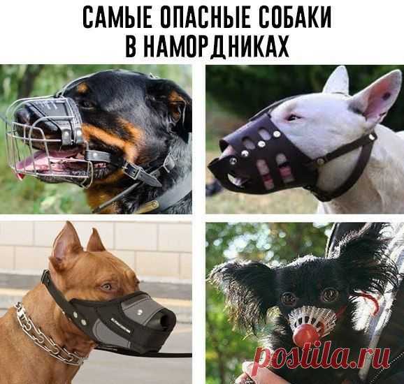 Татьяна Кармишина - Иваново, Ивановская обл., Россия на Мой Мир@Mail.ru