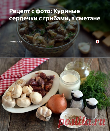 Рецепт с фото: Куриные сердечки с грибами, в сметане | Fan Female | Яндекс Дзен