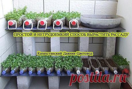 Казахстанский ДАЧНИК - ЦВЕТОВОД