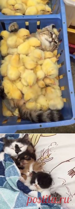 Фитнес для мозга | Facebook