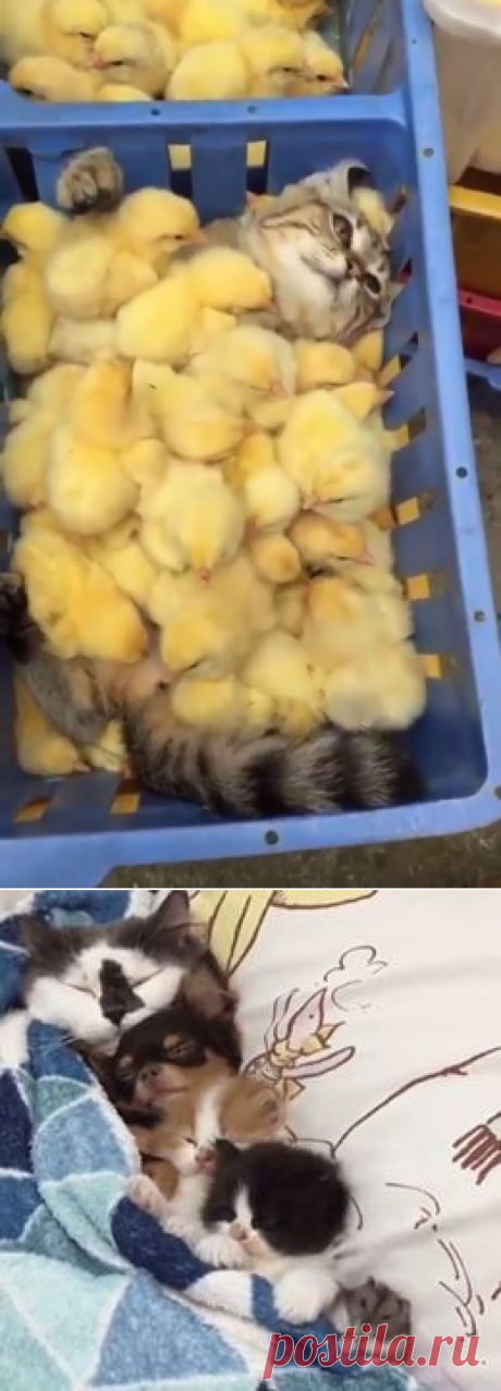 Фитнес для мозга | Facebook