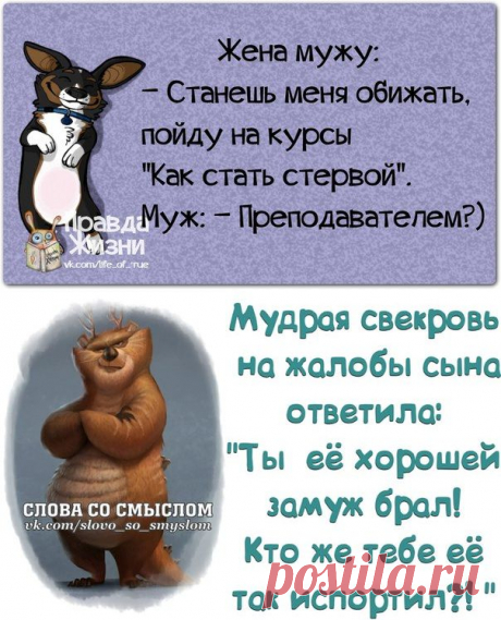фразочки в картинках. Есть мужики И есть просто писюноносцы.