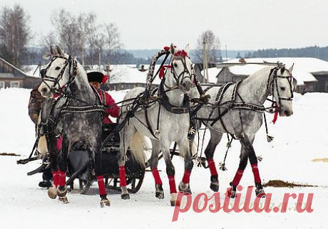 Новый год 2014
