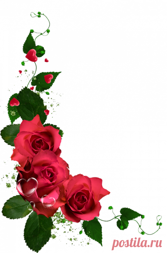 разные красивые детали на прозрачном фоне: 19 тыс изображений найдено в Яндекс.Картинках