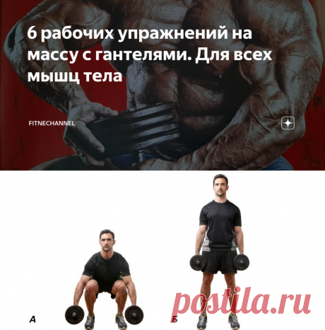 6 рабочих упражнений на массу с гантелями. Для всех мышц тела | fitnechannel | Яндекс Дзен