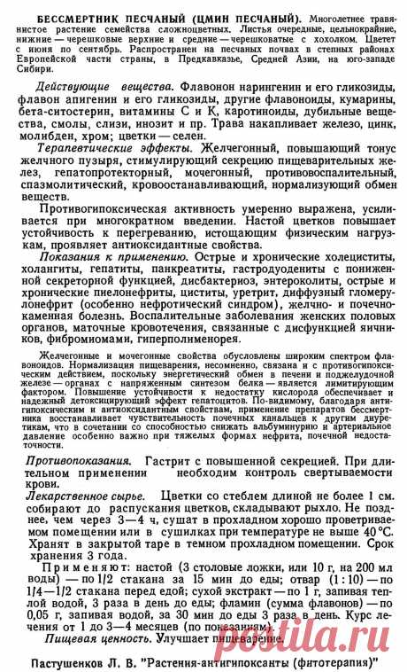 Бессмертник песчаный (цмин песчаный)