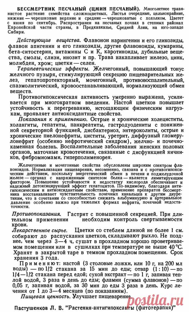 Бессмертник песчаный (цмин песчаный)