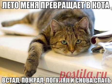 ♥♥Житейская мудрость ♥♥
