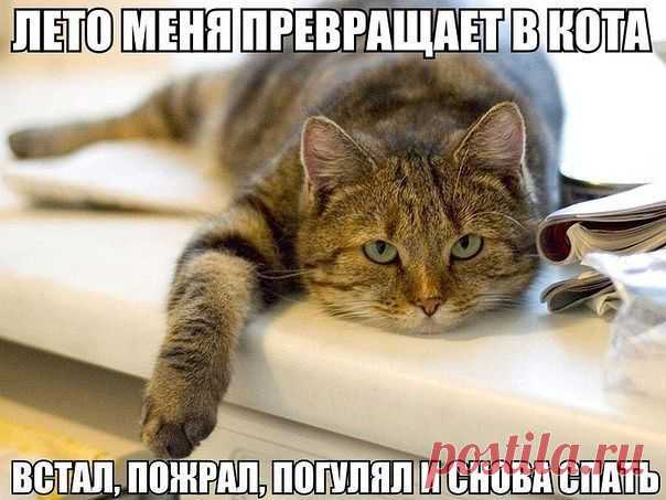 ♥♥Житейская мудрость ♥♥