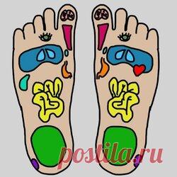 Именно поэтому делать массаж ног каждый вечер так ценно! Здесь начинается чудо Рефлекторный массаж стоп — полезная и до безобразия приятная процедура, которая опирается на то, что каждый орган или часть человеческого организма имеет свою рефлекторную зону на стопе. Регулярный массаж стоп проводят как с профилактической целью, так и для устранения различных проблем со здоровьем. Рефлекторный массаж стоп. Самомассаж проводи каждый вечер перед сном.