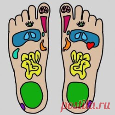 Именно поэтому делать массаж ног каждый вечер так ценно! Здесь начинается чудо Рефлекторный массаж стоп — полезная и до безобразия приятная процедура, которая опирается на то, что каждый орган или часть человеческого организма имеет свою рефлекторную зону на стопе. Регулярный массаж стоп проводят как с профилактической целью, так и для устранения различных проблем со здоровьем. Рефлекторный массаж стоп. Самомассаж проводи каждый вечер перед сном.