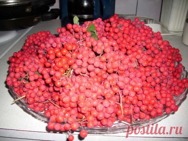 цитата nina_andreevna : Любимые рябиновые рецепты (12:13 14-09-2011) [3987754/184372534] - belka-aga@mail.ru - Почта Mail.Ru