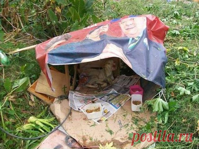 Спас собаку!!! История в фотографиях... Очень трогательная история - мужчина спас умирающего пса, который потом стал ему лучшим другом.