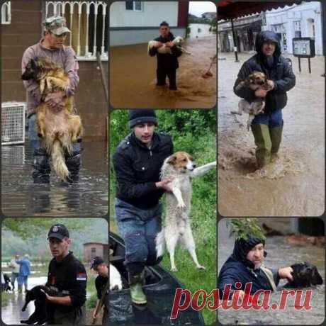 (7) Фејсбук