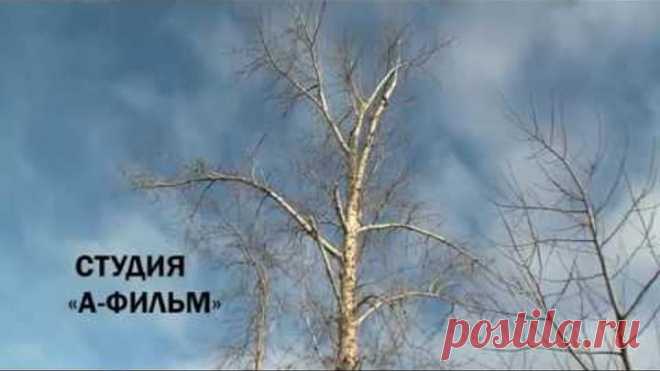 КИЗЕЛ~запрещенный фильм