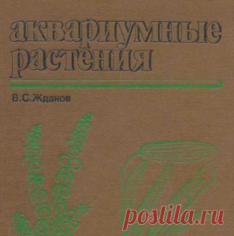 549__aqua_rastenija.pdf